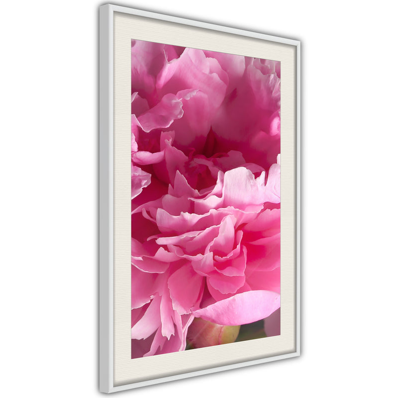 Poster - Magenta Madness  - wit passepartout