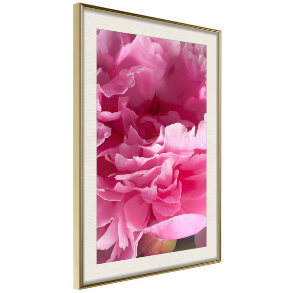 Poster - Magenta Madness  - goud passepartout