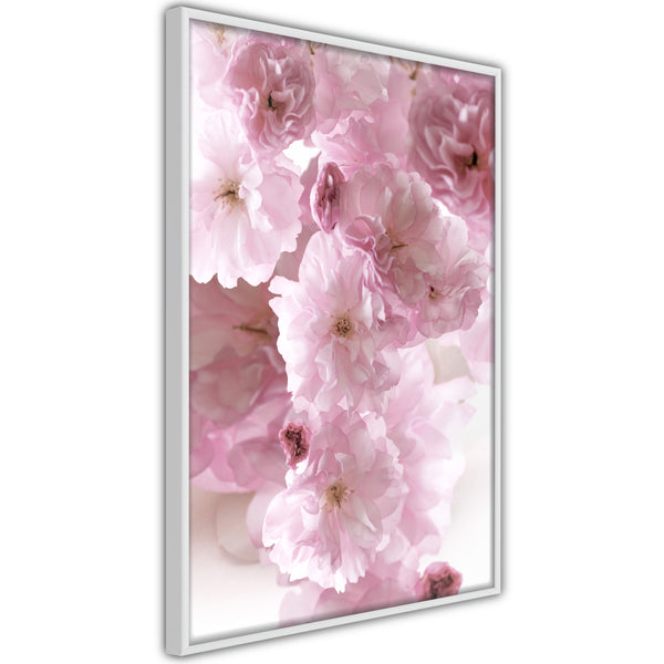 Poster - Path Paved with Flowers  - wit