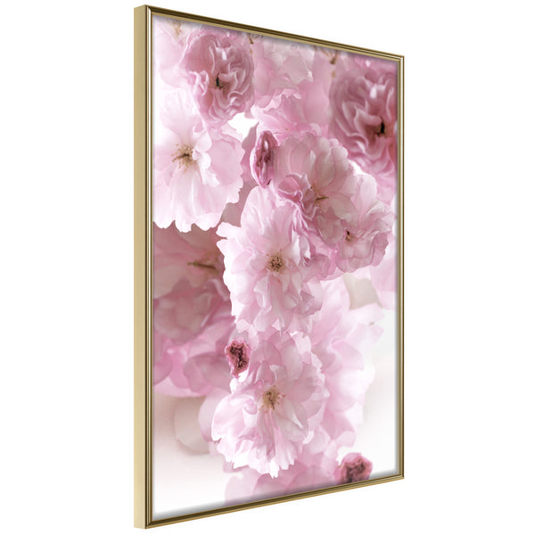 Poster - Path Paved with Flowers  - goud