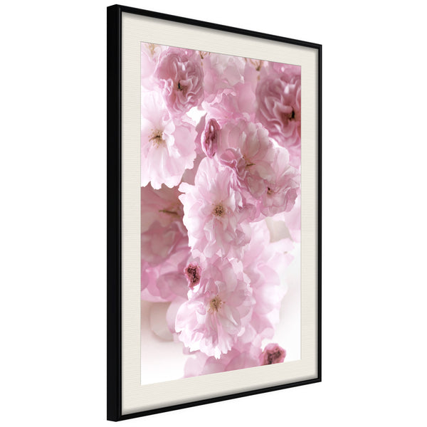 Poster - Path Paved with Flowers  - zwart passepartout