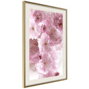 Poster - Path Paved with Flowers  - goud passepartout