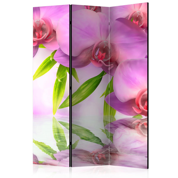 https://www.fotoartgeist.pl/ebaytemp/parawan/b-C-0414-z-b/b-C-0414-z-b-eb1.jpg