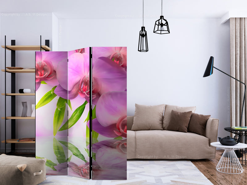https://www.fotoartgeist.pl/ebaytemp/parawan/b-C-0414-z-b/b-C-0414-z-b-ebVis2.jpg