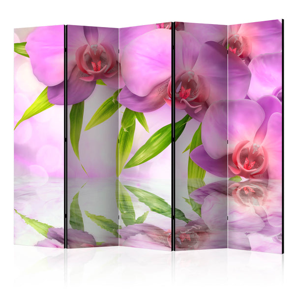 https://www.fotoartgeist.pl/ebaytemp/parawan/b-C-0414-z-c/b-C-0414-z-c-eb1.jpg