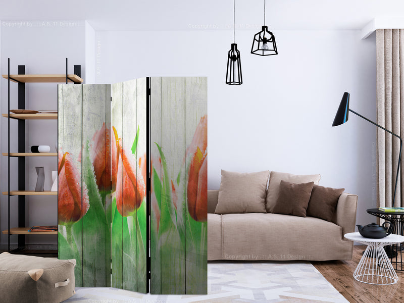https://www.fotoartgeist.pl/ebaytemp/parawan/b-C-0422-z-b/b-C-0422-z-b-ebVis2.jpg
