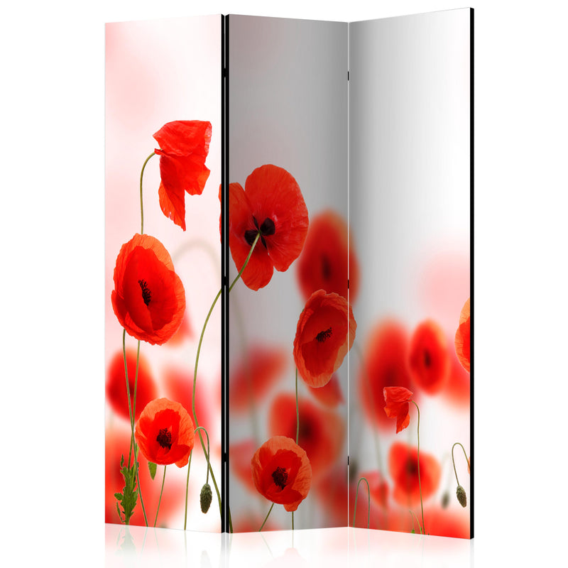 https://www.fotoartgeist.pl/ebaytemp/parawan/b-C-0452-z-b/b-C-0452-z-b-eb1.jpg