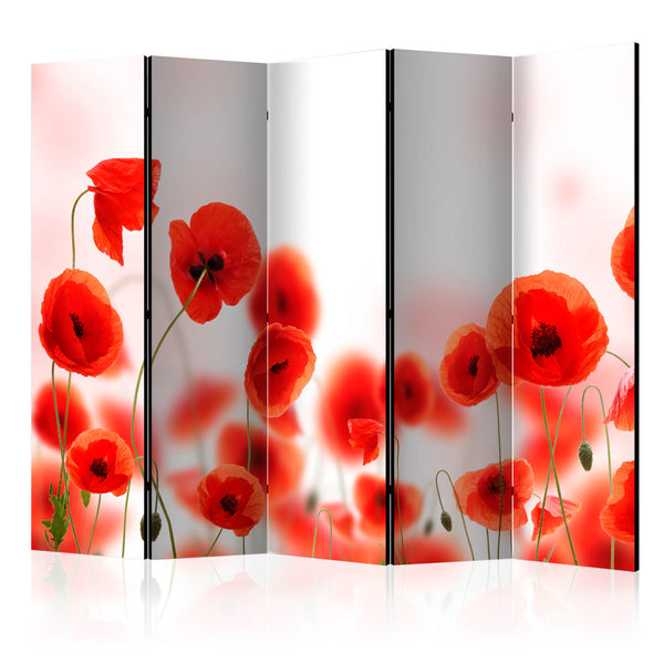 https://www.fotoartgeist.pl/ebaytemp/parawan/b-C-0452-z-c/b-C-0452-z-c-eb1.jpg