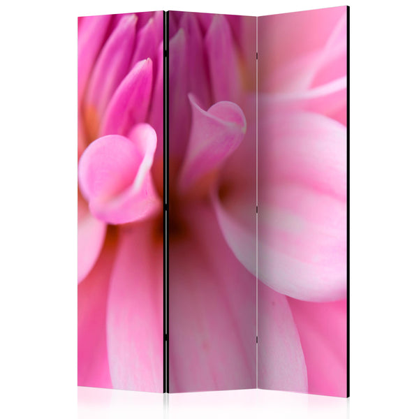 https://www.fotoartgeist.pl/ebaytemp/parawan/b-C-0453-z-b/b-C-0453-z-b-eb1.jpg