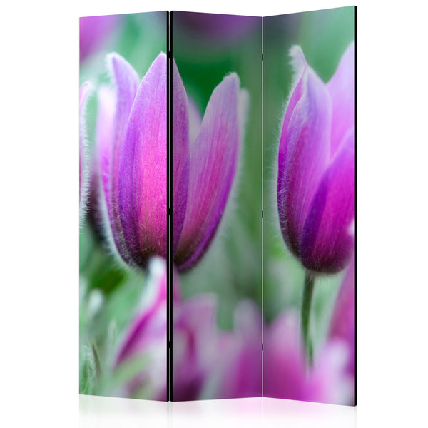 https://www.fotoartgeist.pl/ebaytemp/parawan/b-C-0456-z-b/b-C-0456-z-b-eb1.jpg