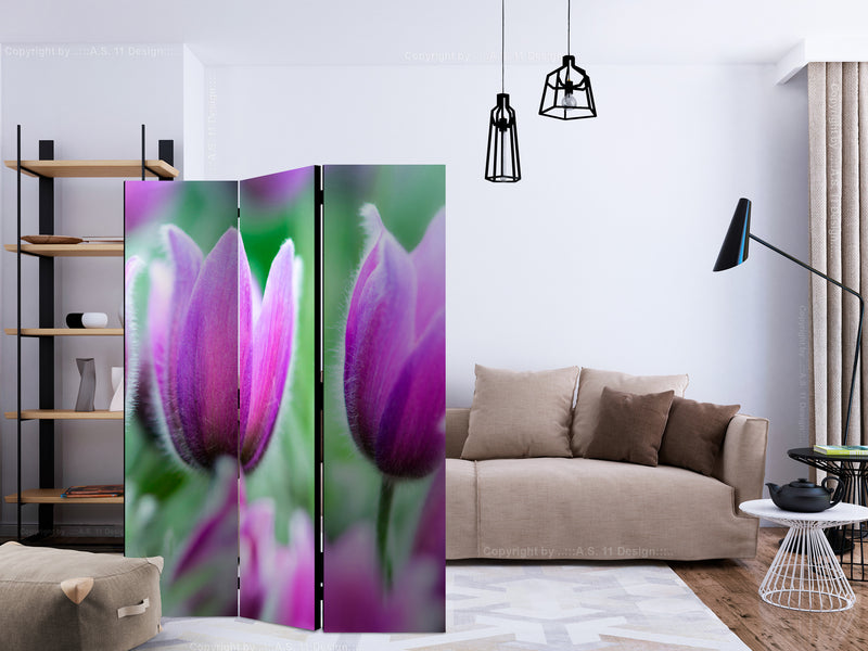 https://www.fotoartgeist.pl/ebaytemp/parawan/b-C-0456-z-b/b-C-0456-z-b-ebVis2.jpg