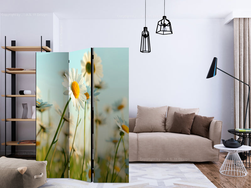 https://www.fotoartgeist.pl/ebaytemp/parawan/b-C-0458-z-b/b-C-0458-z-b-ebVis2.jpg
