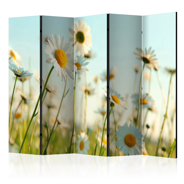 https://www.fotoartgeist.pl/ebaytemp/parawan/b-C-0458-z-c/b-C-0458-z-c-eb1.jpg
