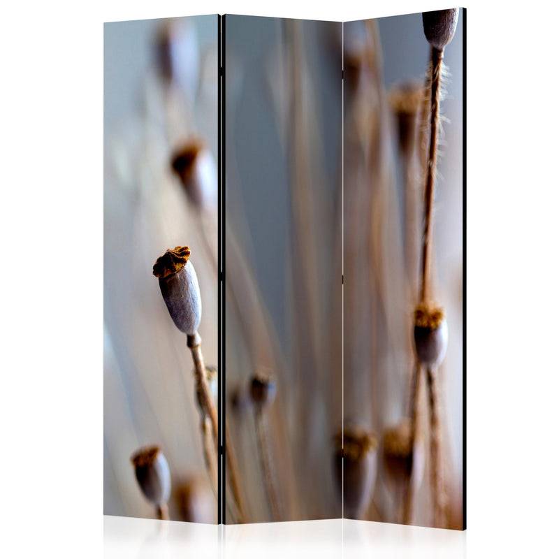 https://www.fotoartgeist.pl/ebaytemp/parawan/b-C-0462-z-b/b-C-0462-z-b-eb1.jpg