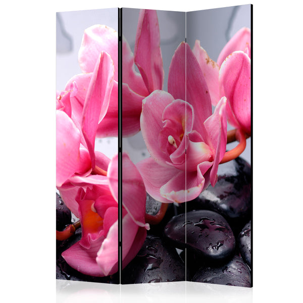 https://www.fotoartgeist.pl/ebaytemp/parawan/b-C-0465-z-b/b-C-0465-z-b-eb1.jpg