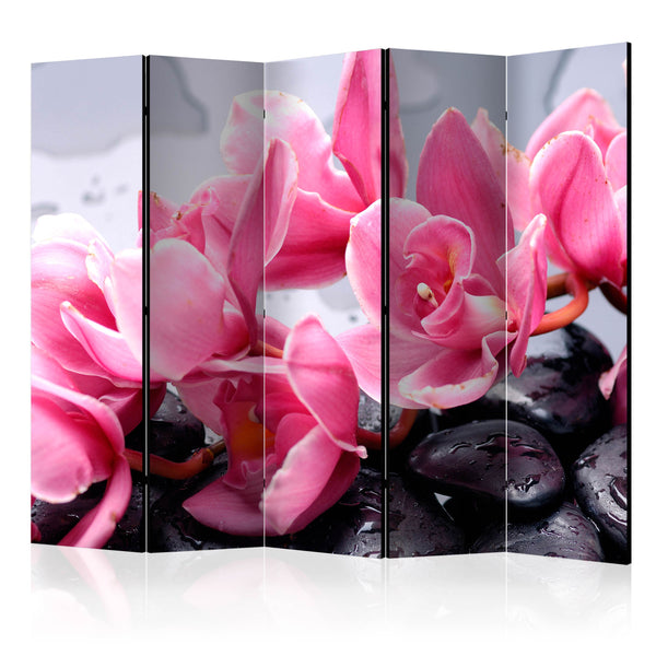 https://www.fotoartgeist.pl/ebaytemp/parawan/b-C-0465-z-c/b-C-0465-z-c-eb1.jpg