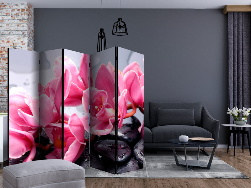 https://www.fotoartgeist.pl/ebaytemp/parawan/b-C-0465-z-c/b-C-0465-z-c-ebVis2.jpg
