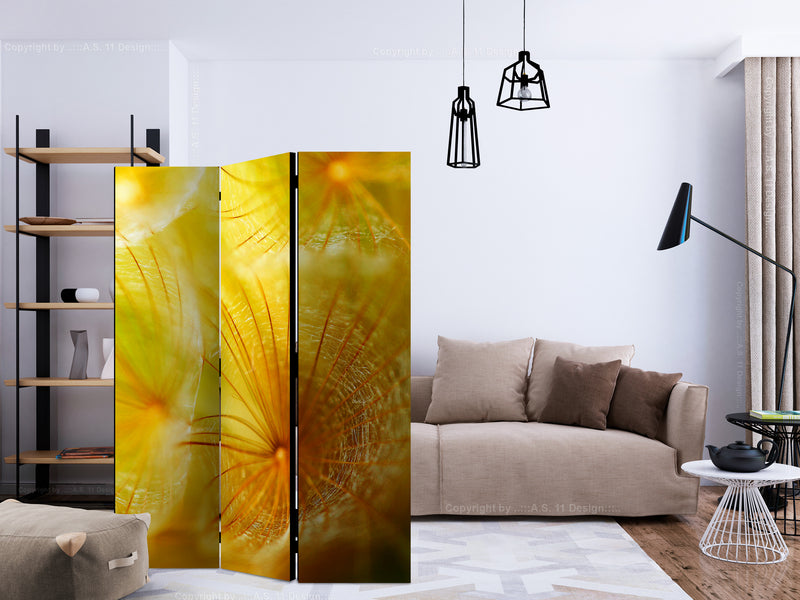 https://www.fotoartgeist.pl/ebaytemp/parawan/b-C-0466-z-b/b-C-0466-z-b-ebVis2.jpg