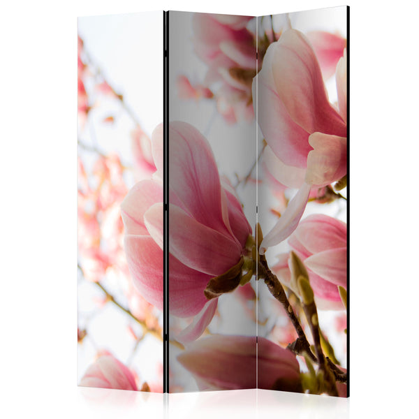 https://www.fotoartgeist.pl/ebaytemp/parawan/b-C-0467-z-b/b-C-0467-z-b-eb1.jpg
