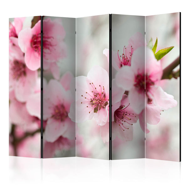 https://www.fotoartgeist.pl/ebaytemp/parawan/b-C-0469-z-c/b-C-0469-z-c-eb1.jpg