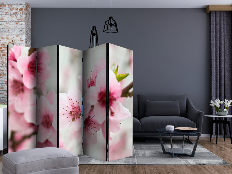 https://www.fotoartgeist.pl/ebaytemp/parawan/b-C-0469-z-c/b-C-0469-z-c-ebVis2.jpg