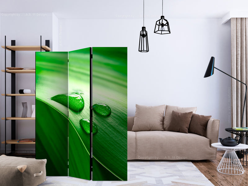https://www.fotoartgeist.pl/ebaytemp/parawan/b-C-0474-z-b/b-C-0474-z-b-ebVis2.jpg