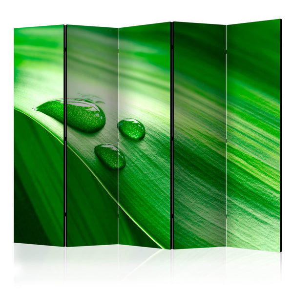 https://www.fotoartgeist.pl/ebaytemp/parawan/b-C-0474-z-c/b-C-0474-z-c-eb1.jpg