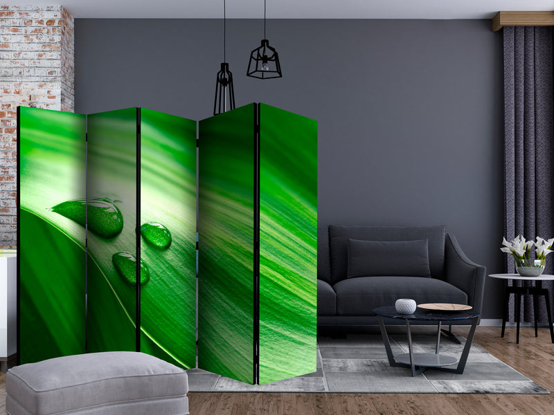 https://www.fotoartgeist.pl/ebaytemp/parawan/b-C-0474-z-c/b-C-0474-z-c-ebVis2.jpg