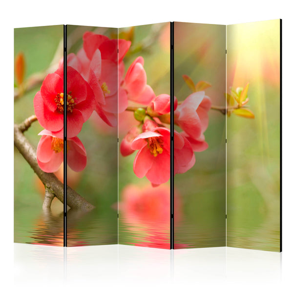 https://www.fotoartgeist.pl/ebaytemp/parawan/b-C-0477-z-c/b-C-0477-z-c-eb1.jpg