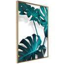 Poster - Turquoise Monstera II  - goud