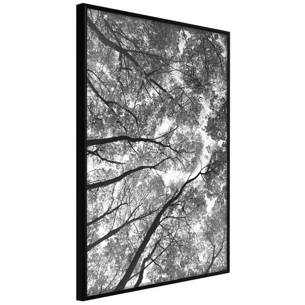 Poster - Lying on the Grass  - zwart