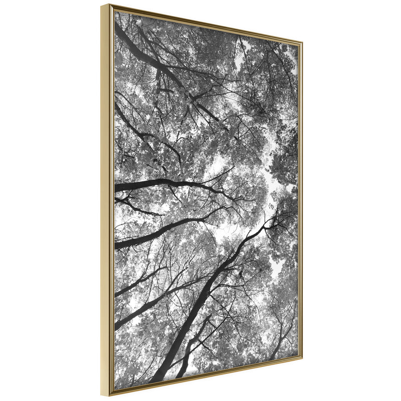 Poster - Lying on the Grass  - goud