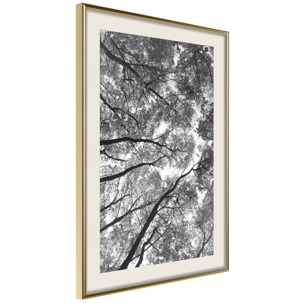 Poster - Lying on the Grass  - goud passepartout