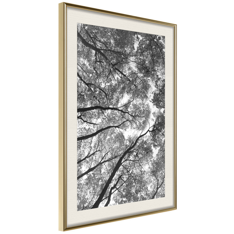 Poster - Lying on the Grass  - goud passepartout