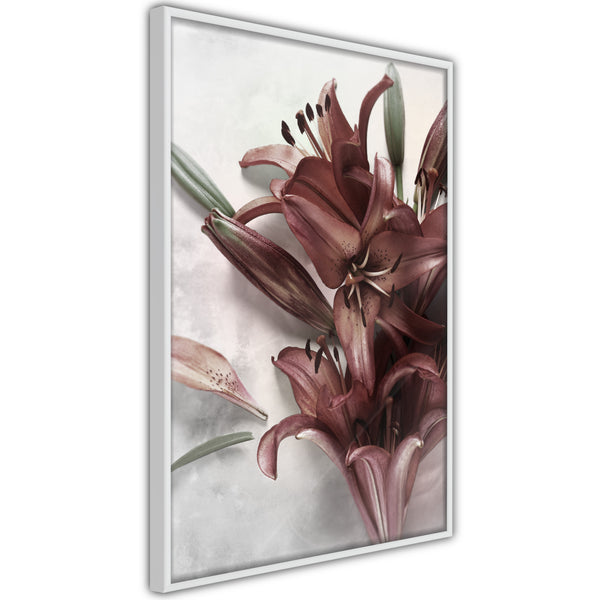 Poster - Burgundy Solace  - wit