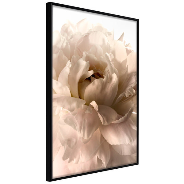 Poster - Bloom  - zwart