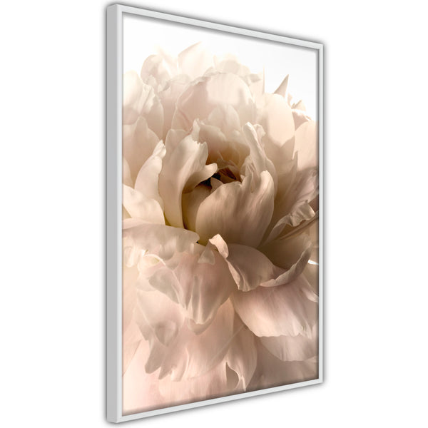 Poster - Bloom  - wit