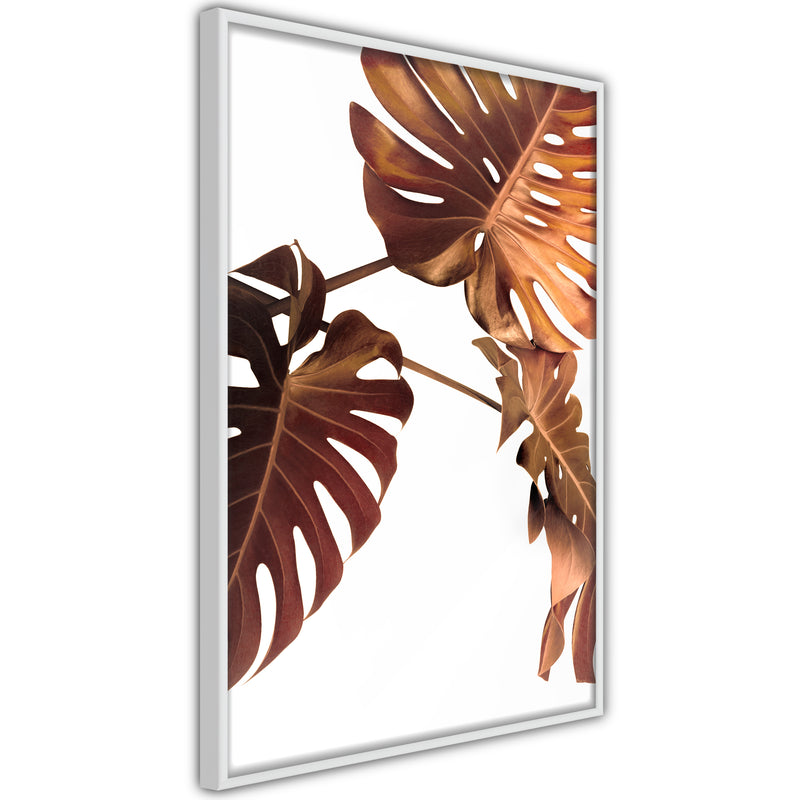 Poster - Copper Monstera  - wit