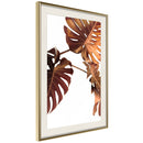 Poster - Copper Monstera  - goud passepartout