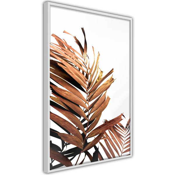 Poster - Copper Palm  - wit