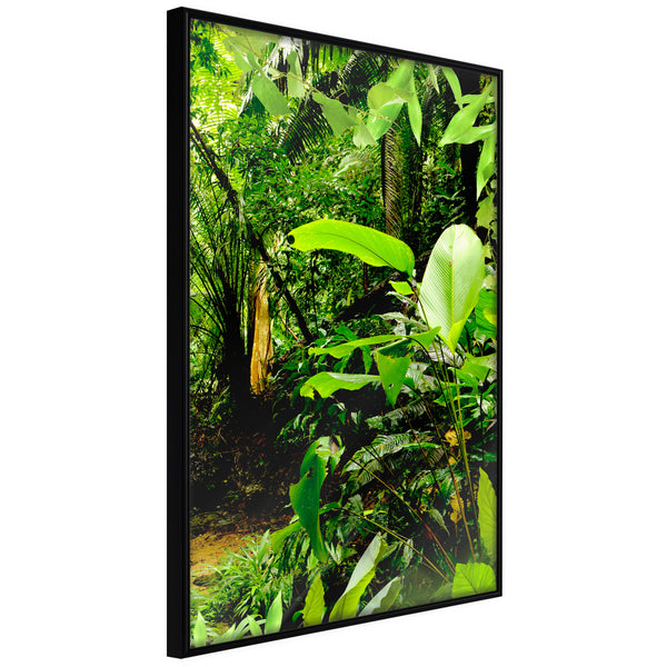 Poster - In the Rainforest  - zwart
