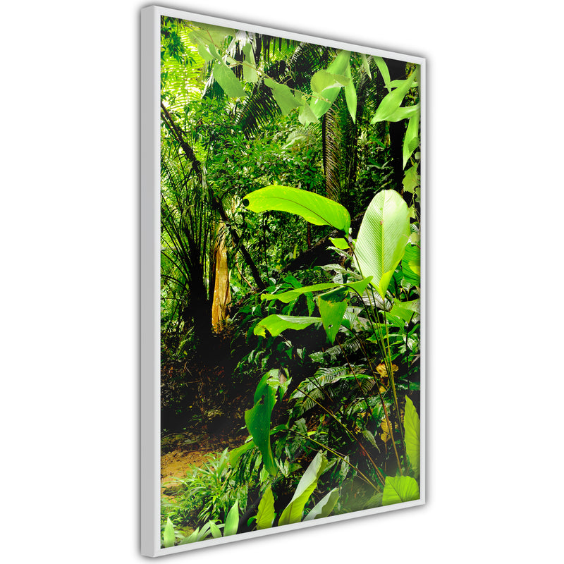 Poster - In the Rainforest  - wit