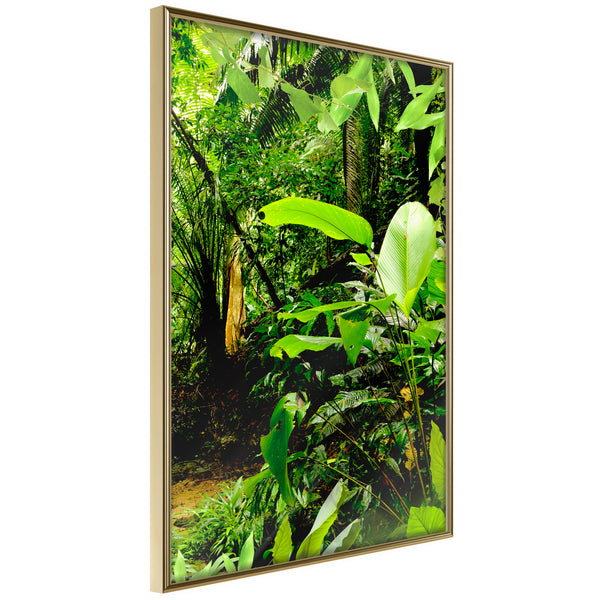 Poster - In the Rainforest  - goud
