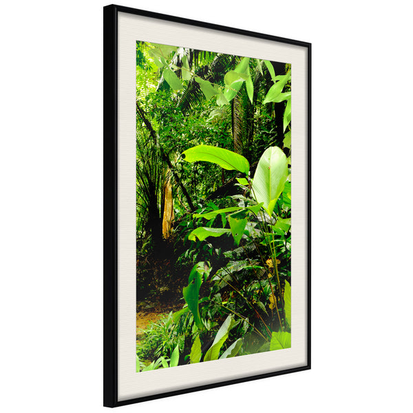 Poster - In the Rainforest  - zwart passepartout