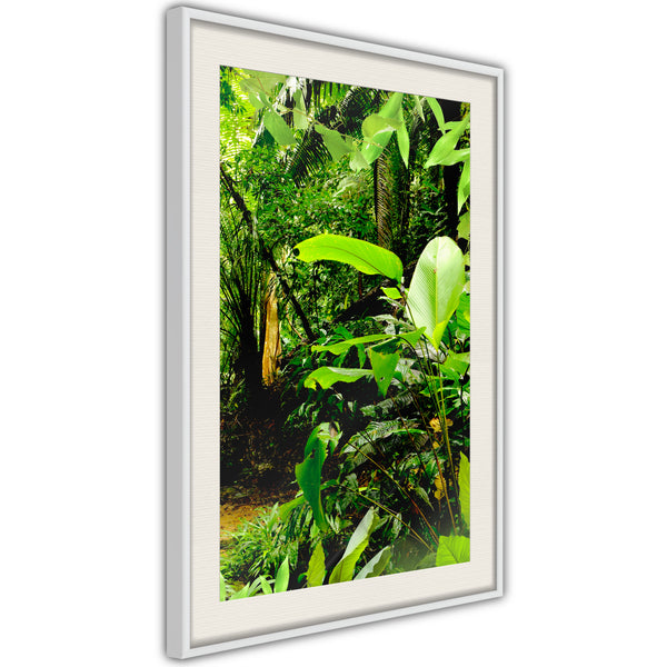 Poster - In the Rainforest  - wit passepartout