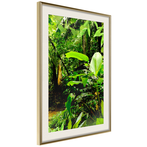 Poster - In the Rainforest  - goud passepartout