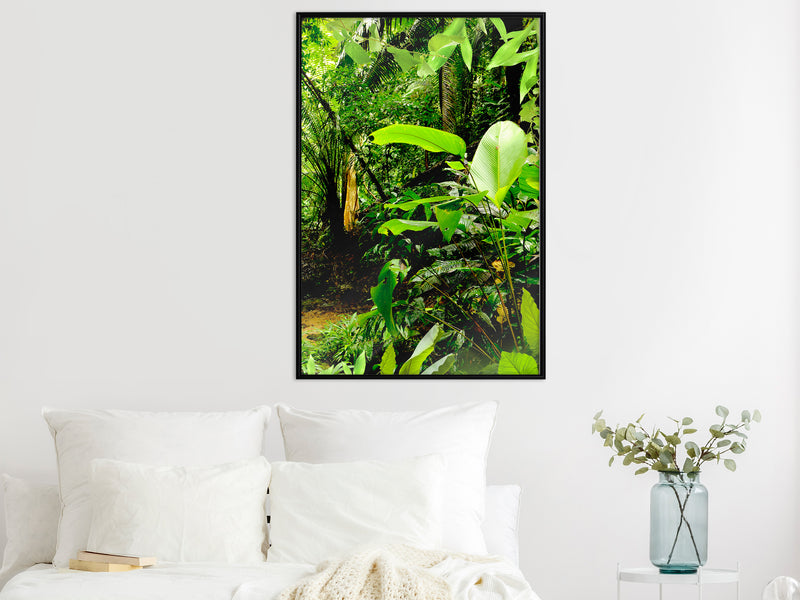 Poster - In the Rainforest  - zwart