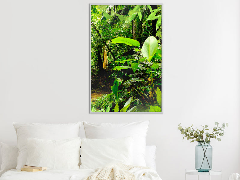 Poster - In the Rainforest  - wit