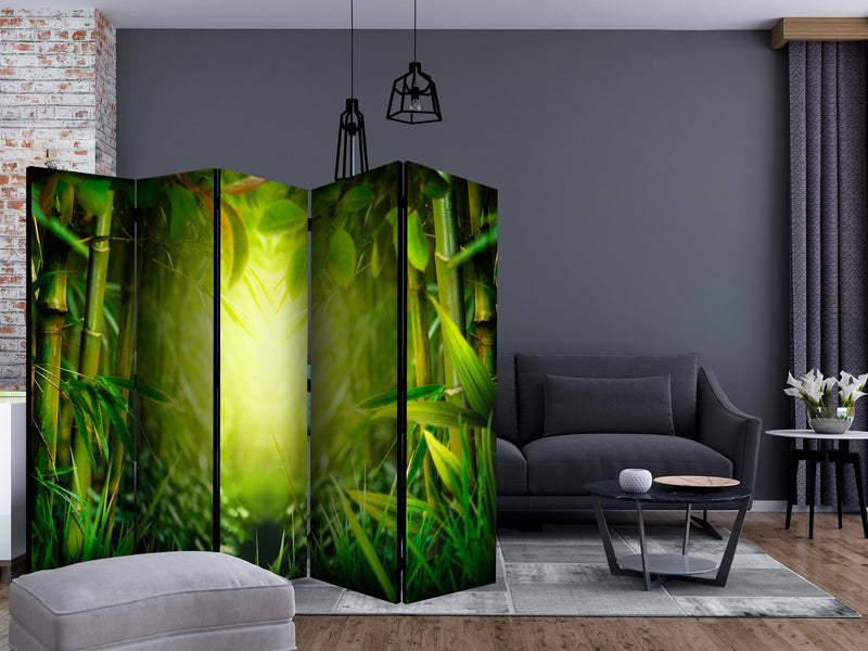 https://www.fotoartgeist.pl/ebaytemp/parawan/b-C-0508-z-c/b-C-0508-z-c-ebVis2.jpg