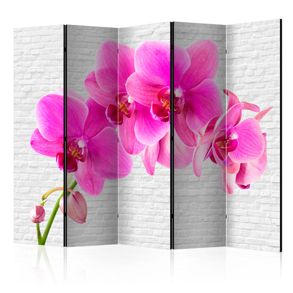 https://www.fotoartgeist.pl/ebaytemp/parawan/b-C-0511-z-c/b-C-0511-z-c-eb1.jpg